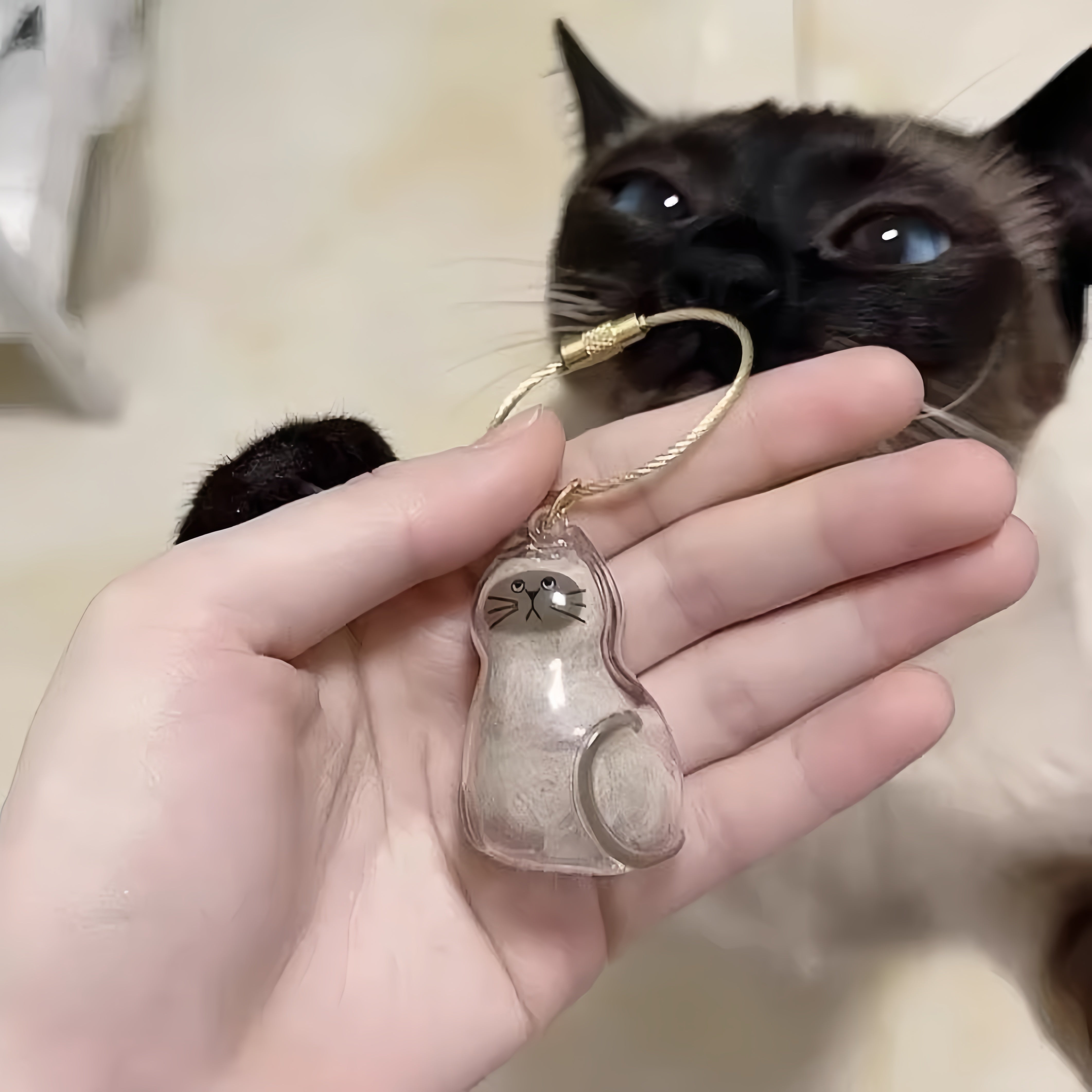 Larleaf Cat Hair Storage Keychain