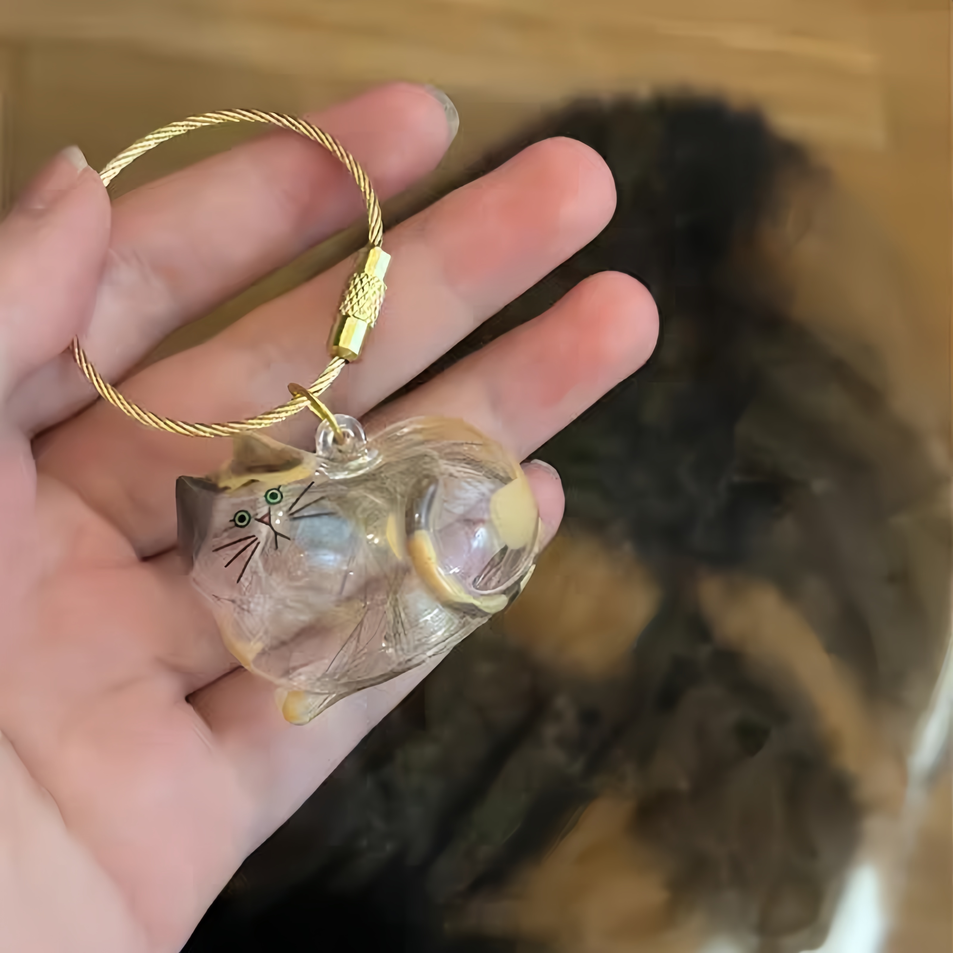 Larleaf Cat Hair Storage Keychain