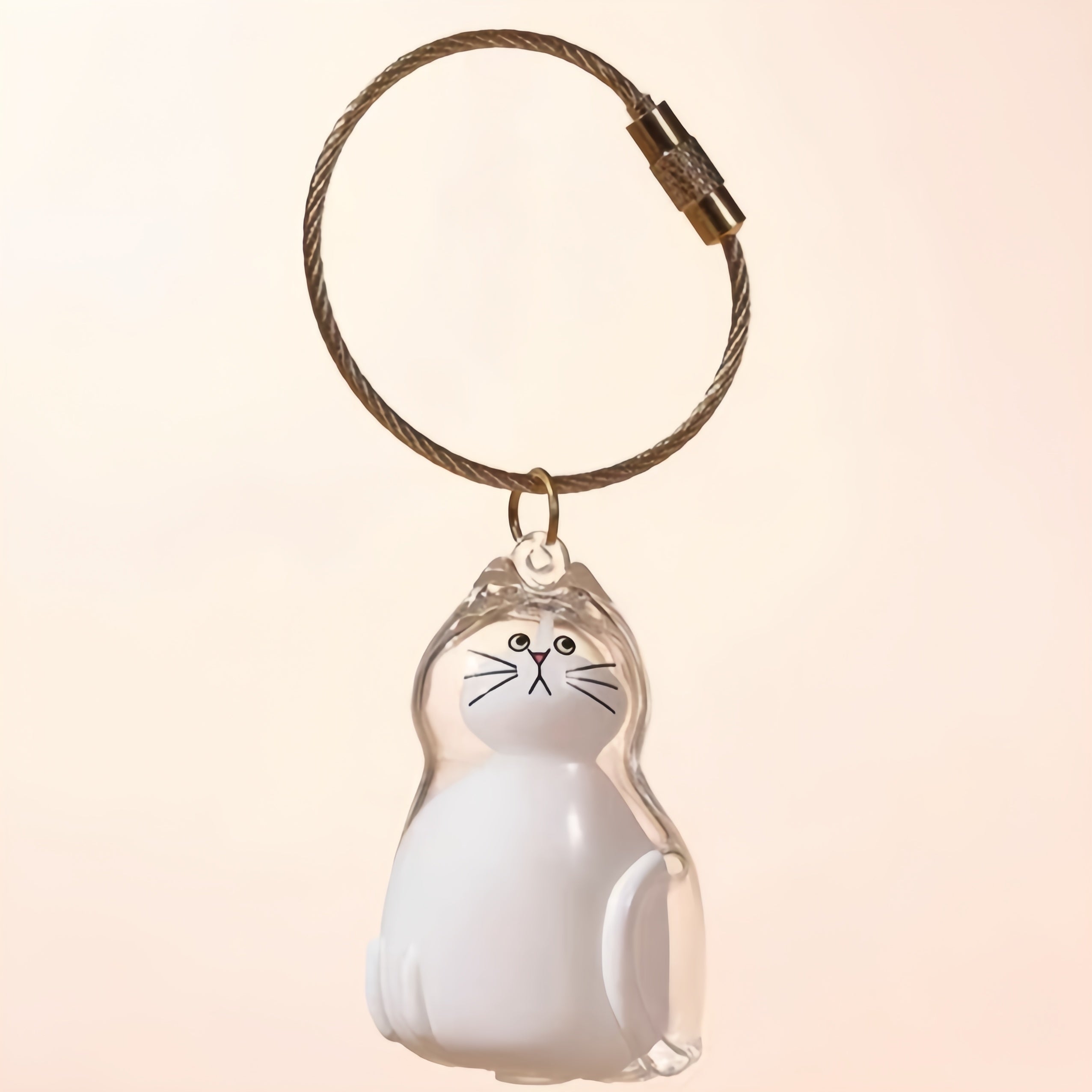 Larleaf Cat Hair Storage Keychain