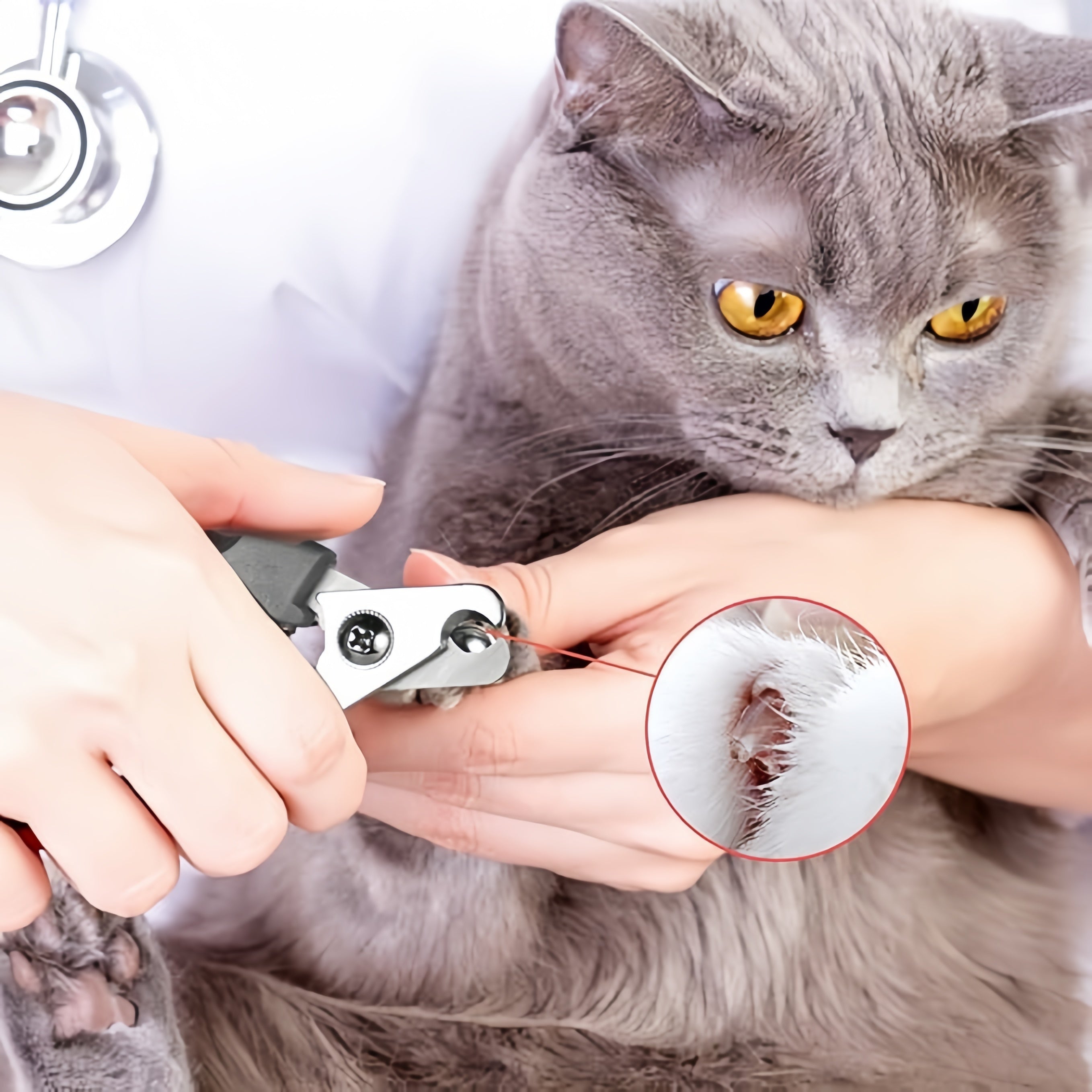 Pets Nail Clippers and Trimmers - with Safety Guard to Avoid Overcutting