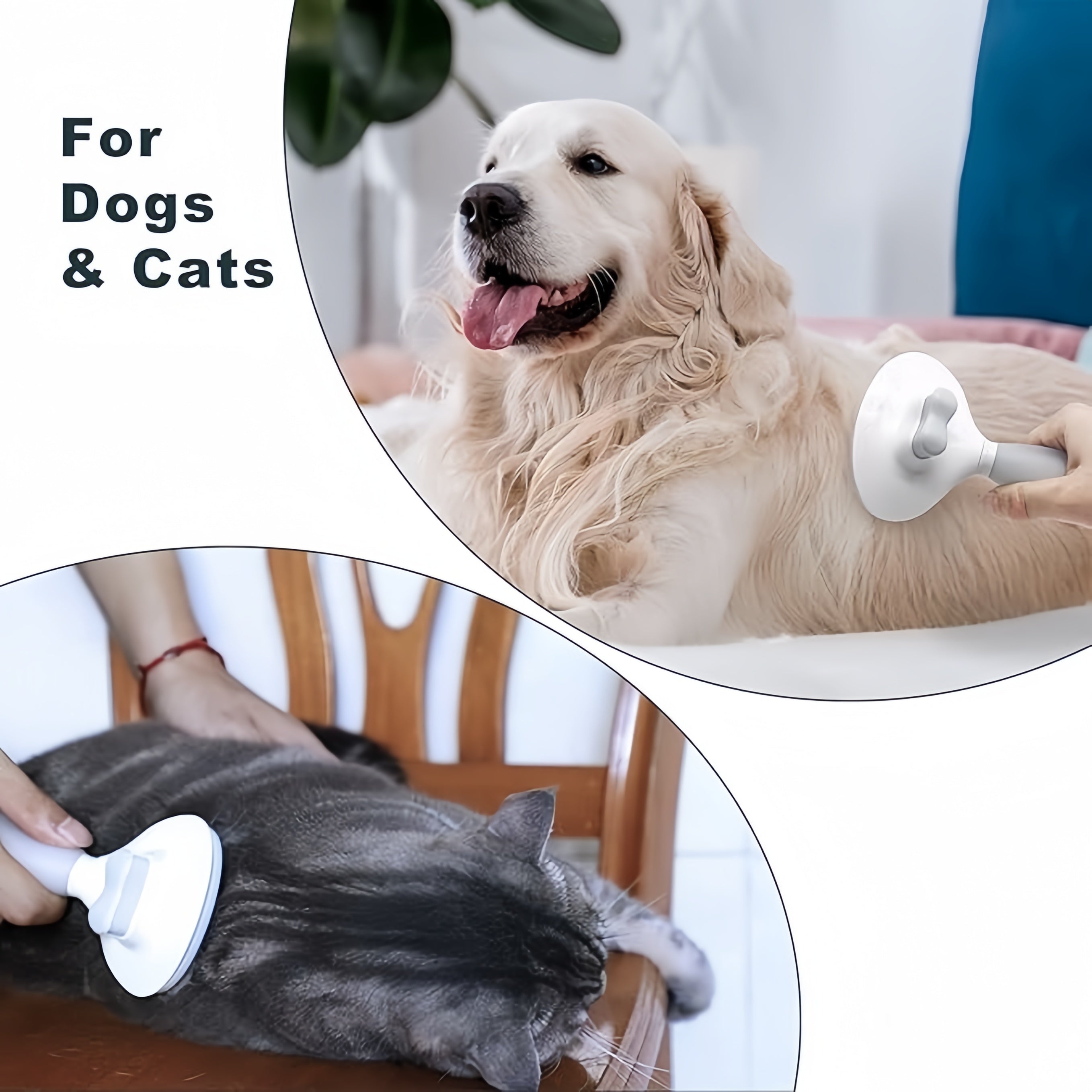 Cat Hair Brush Grey, Cat Brush for Shedding