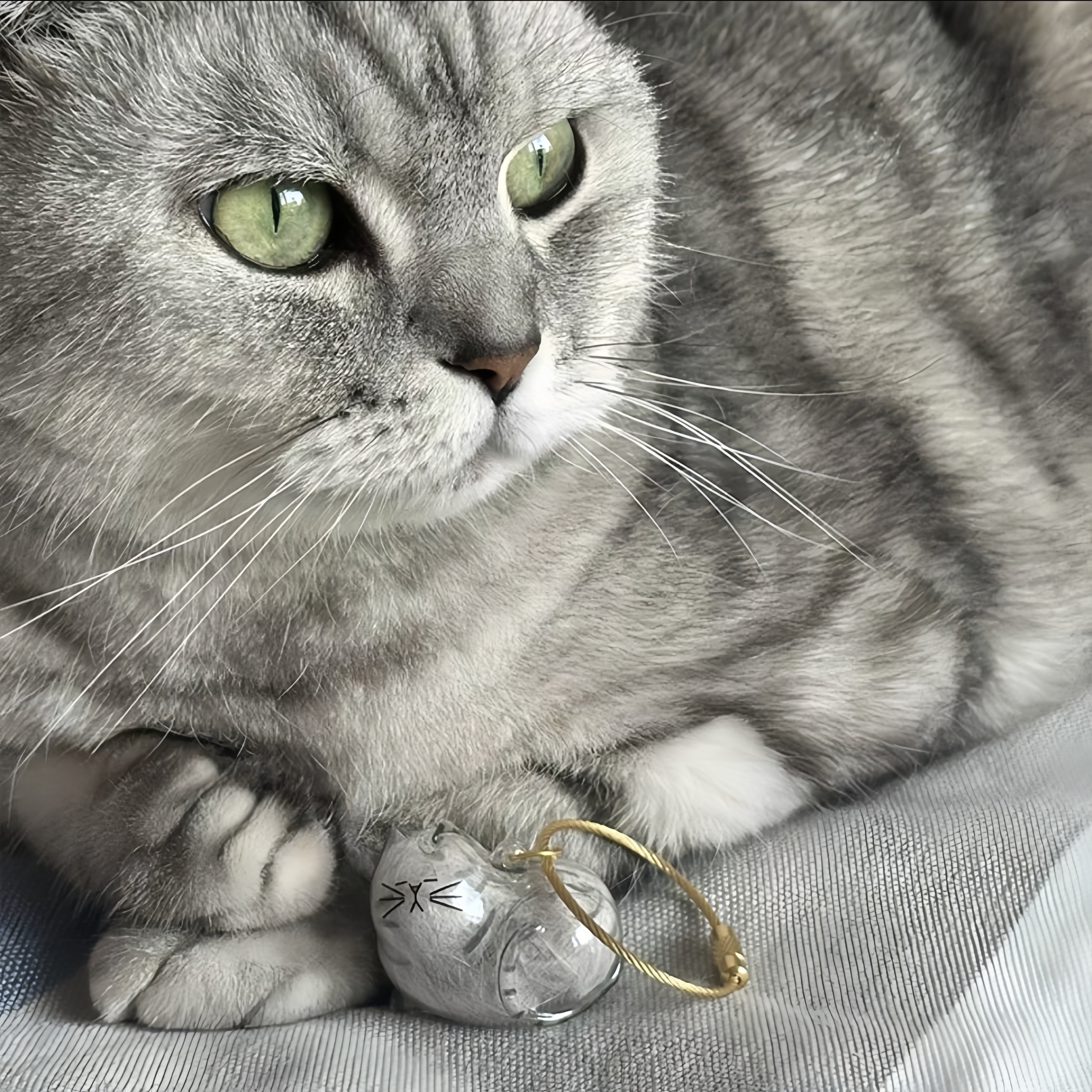 Larleaf Cat Hair Storage Keychain